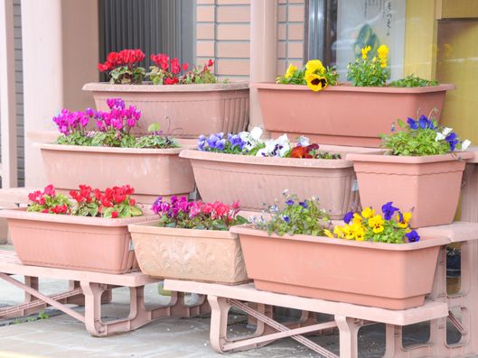 花のプランター