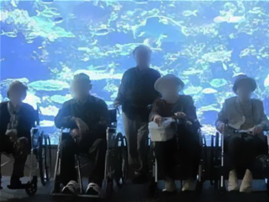 レクリエーション