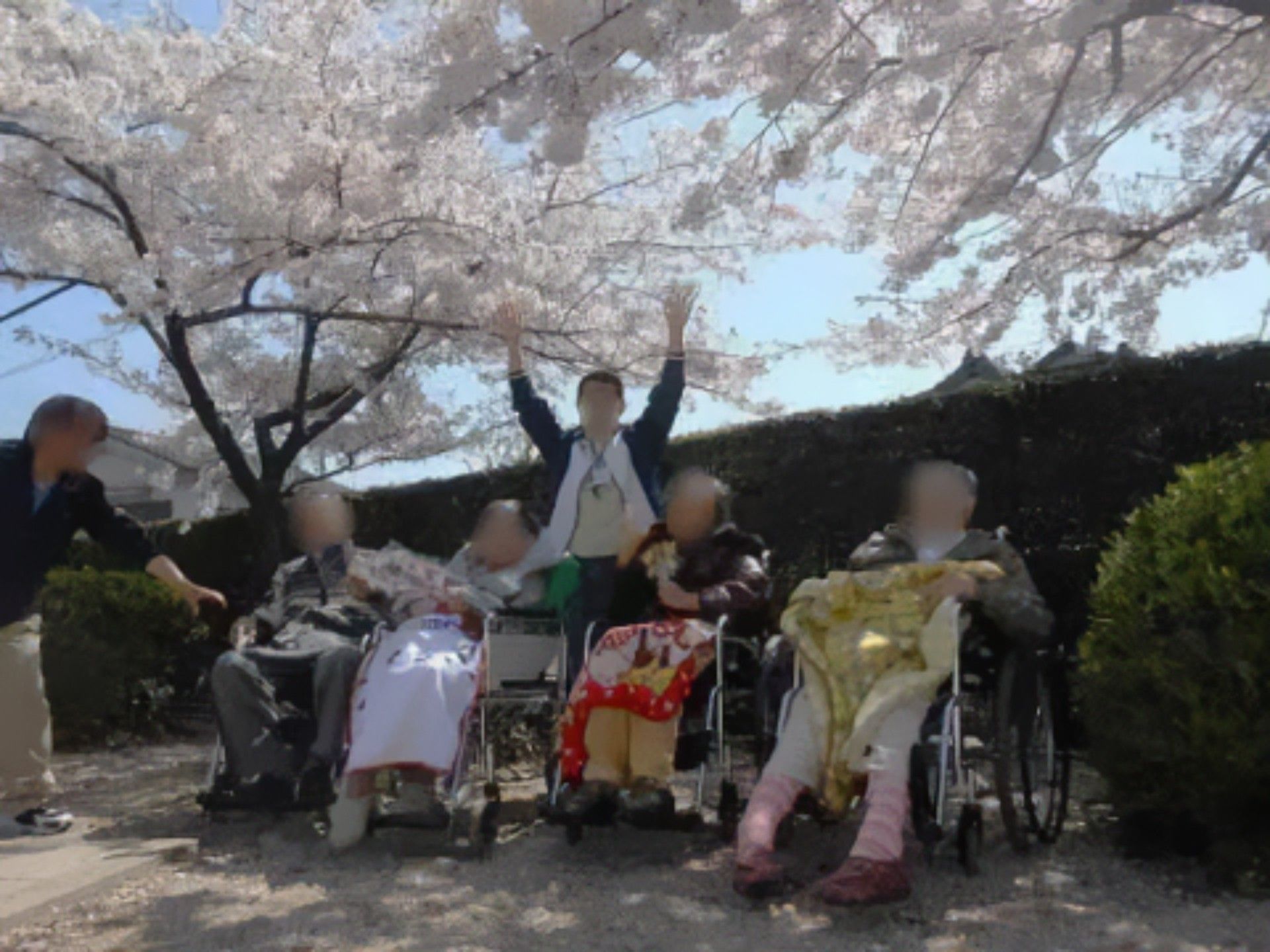 満開に咲いている桜の木の下で、ポーズをとる入居者様たち