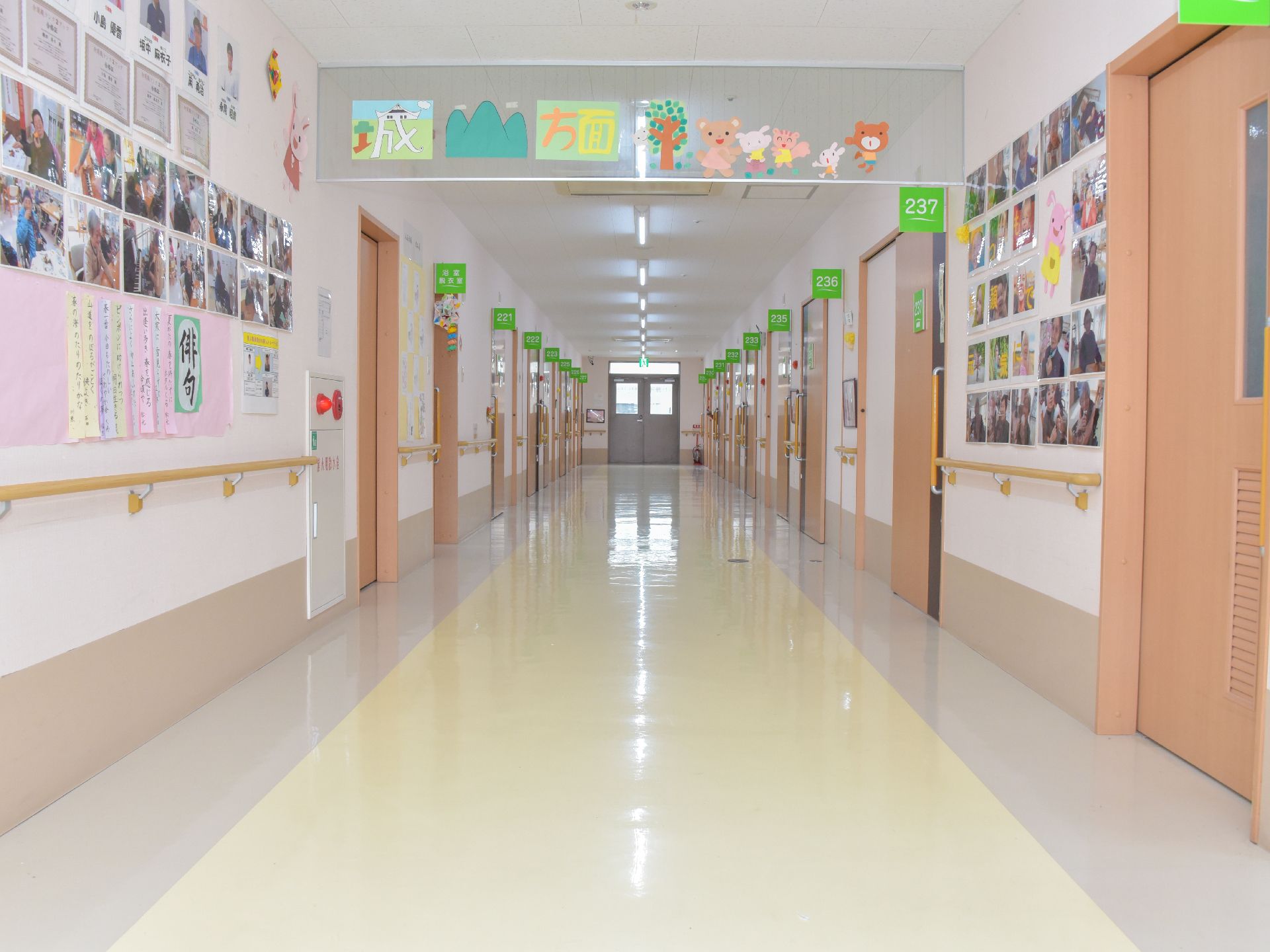 廊下には写真が多数展示されている。居室のサインは貼り出しており見つけやすい。壁には手すりが、ドアには大きめの取っ手がある。