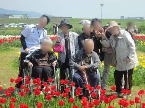 赤や黄色のチューリップがたくさん咲いている場所で、写真撮影をする入居者様