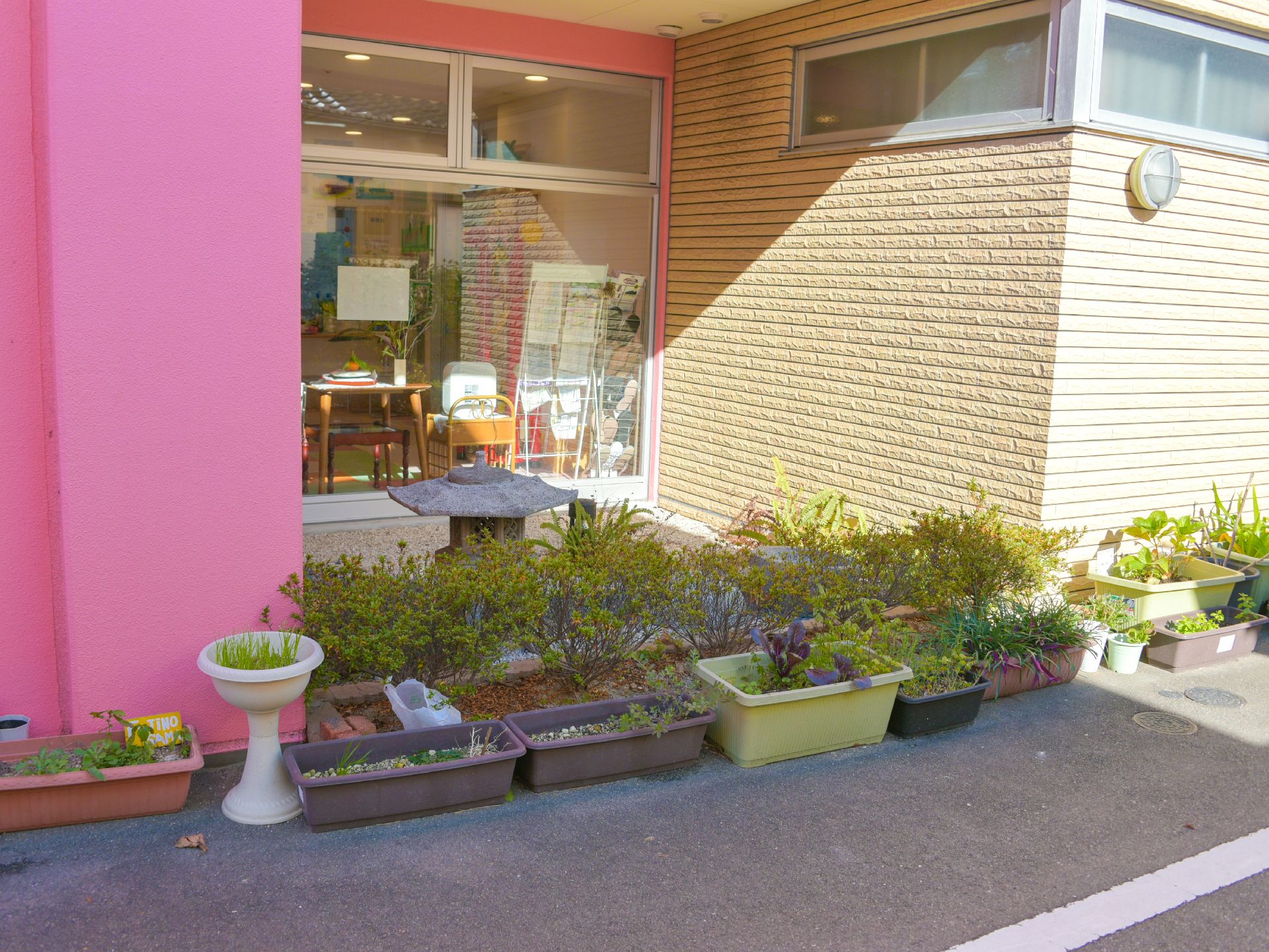 外は、陽があたる場所に様々な鉢に植えられた植物が並んでいる。身近に自然を感じることができる場となっている。