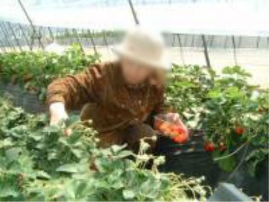 レクリエーション