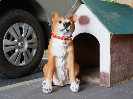 心が和む玄関前の犬の置物