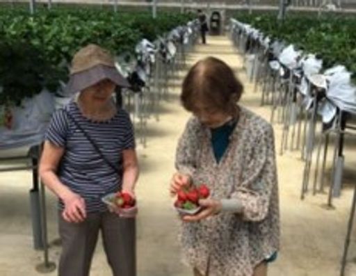 季節イベント（外出）