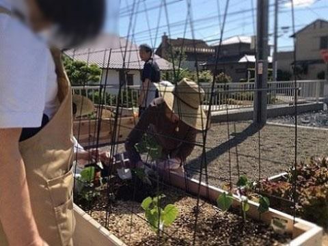 スタッフに見守られながら、野菜の苗を植えている入居者様