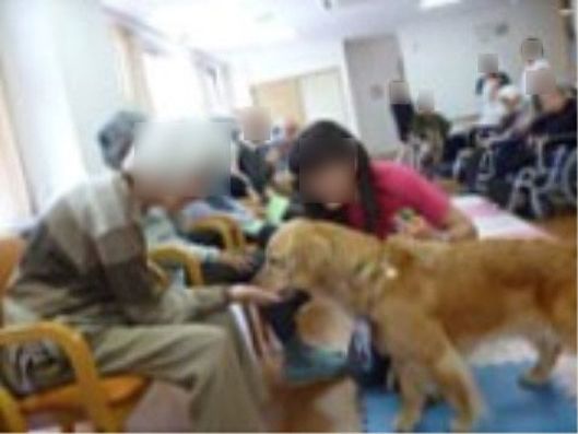 アニマルセラピー