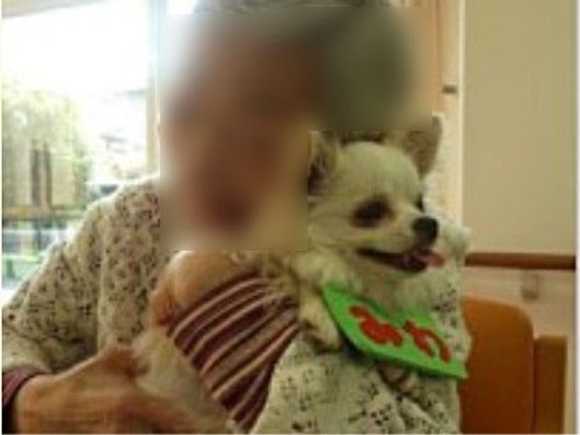 アニマルセラピー2