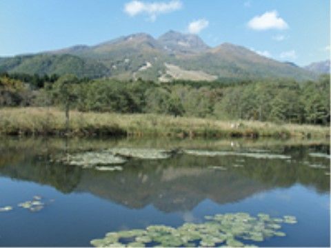 はなことば 妙高の周辺環境。緑豊かな自然環境が施設を取り囲んでおります。日々を穏やかに、ゆっくりとした時間をお過ごしいただけます。