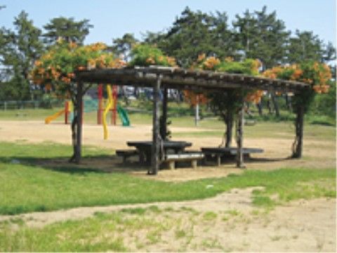 はなことば 柏崎の周辺管理。日中は多くの子供達で賑わう明るく楽しい公園です。お散歩にてご利用いただけます。