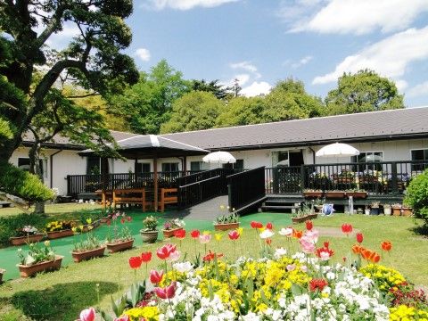 「ローズ・ヴィラ」の中庭。コスモスやポインセチア、パンジーと言った複数の花々が植えられている。