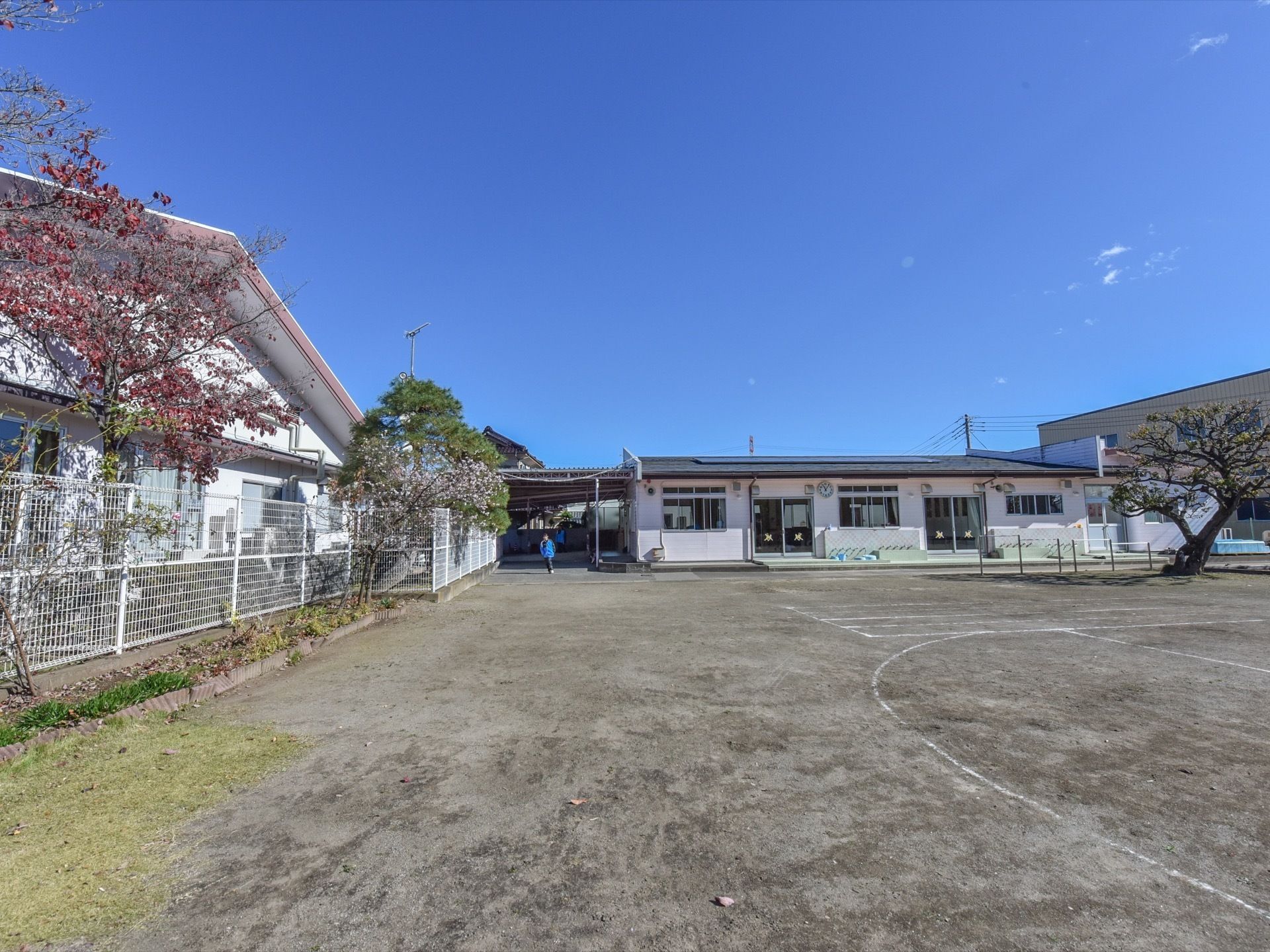 広さのある園庭には、白い線や円がかかれている。併設の保育園の建物がある。いずれの敷地にも植樹がされている。