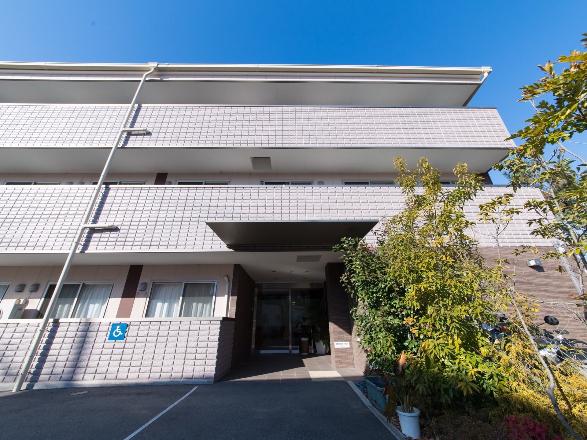 施設の玄関脇には、植物が植えられており、緑を感じることができる。ベランダが駐車場側にあるため、各部屋から外の様子を確認することができる。