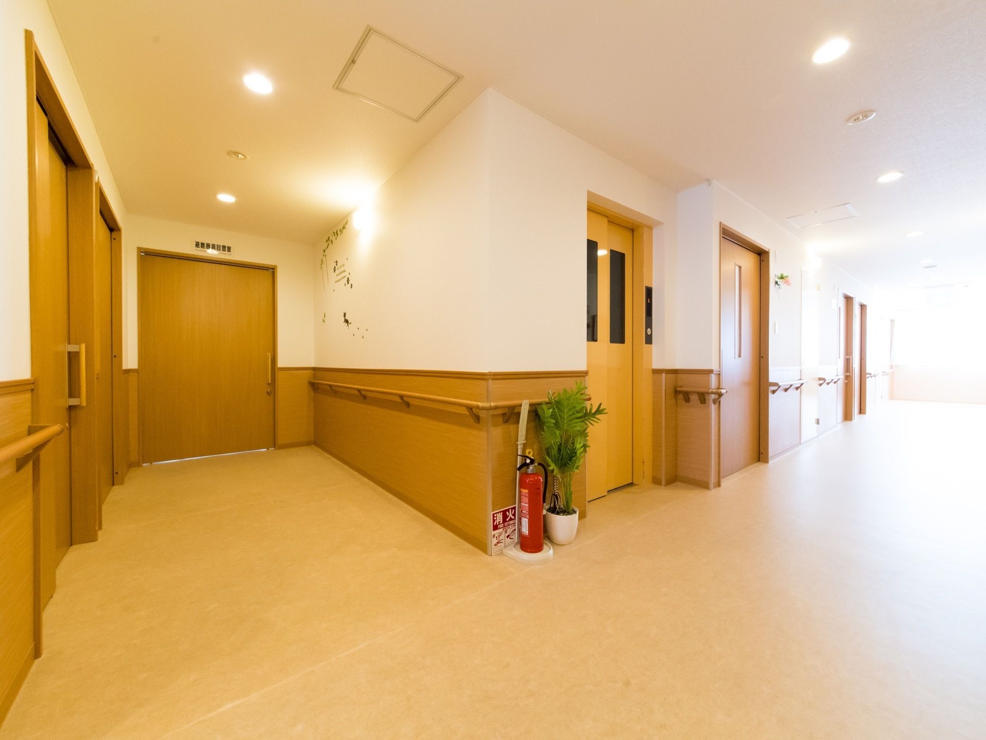 ベージュ色と茶色の壁である。広く明るい。エレベーターが完備されており車椅子をご利用の方も無理なく移動できる。手すりが設けられている。