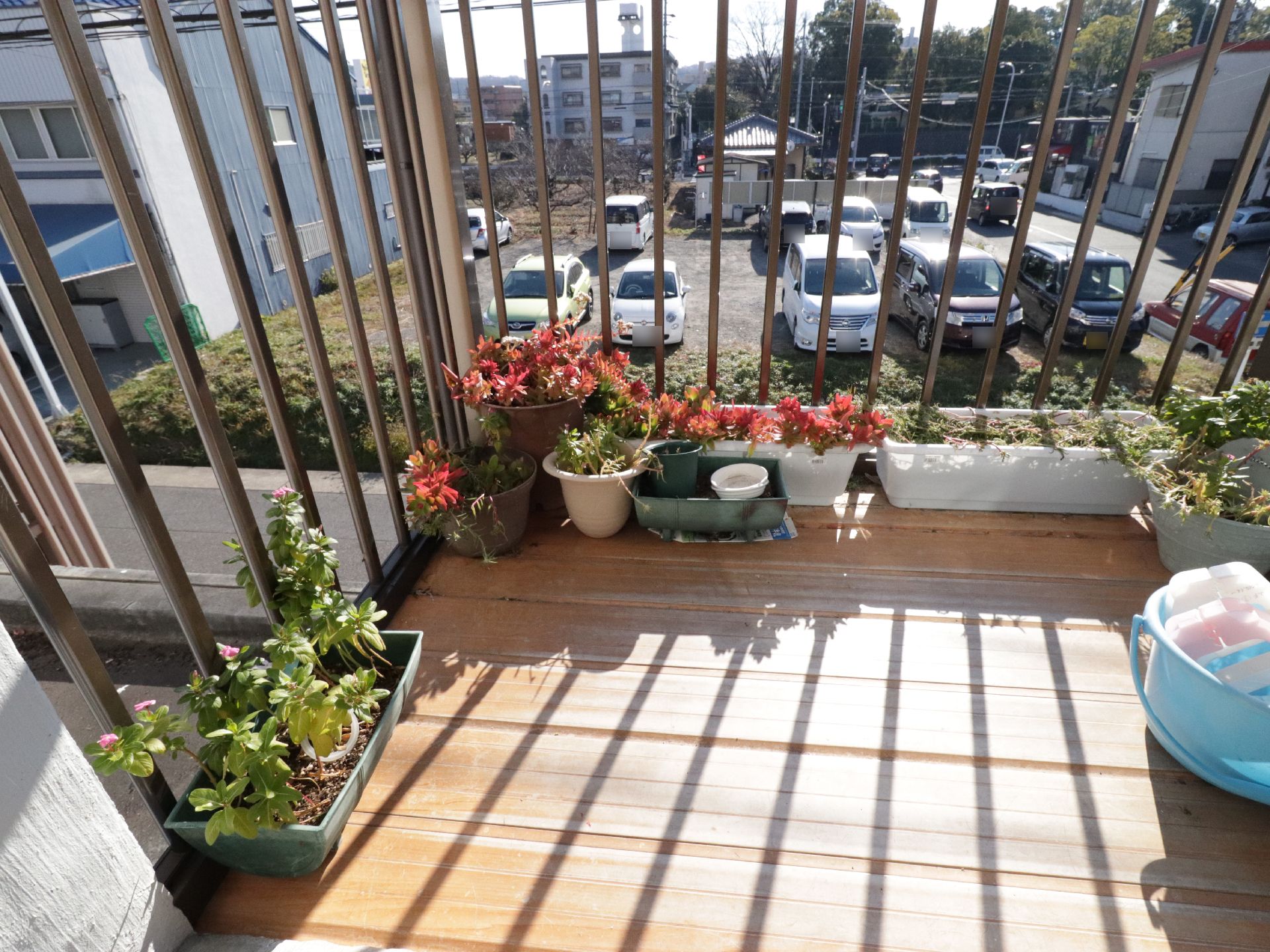 ベランダは日当たりが良い。そこでは植木鉢やプランターが複数個、置かれていて、植物が育てられている。バケツもある。
