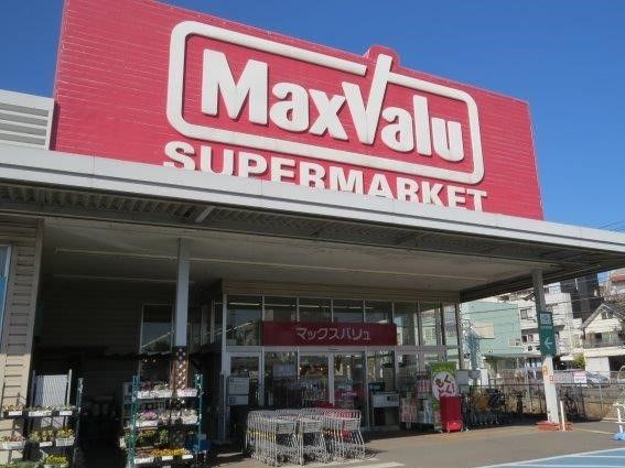 大型スーパーが近くにあり、日常生活で不便がない