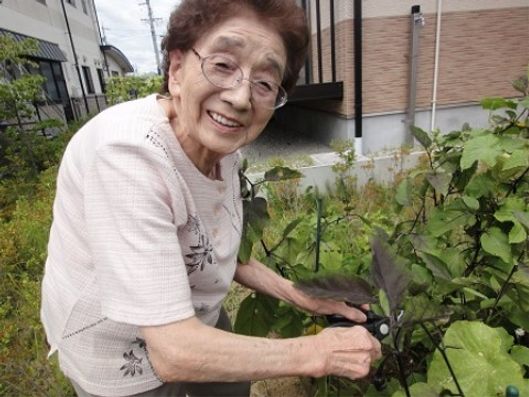 日常