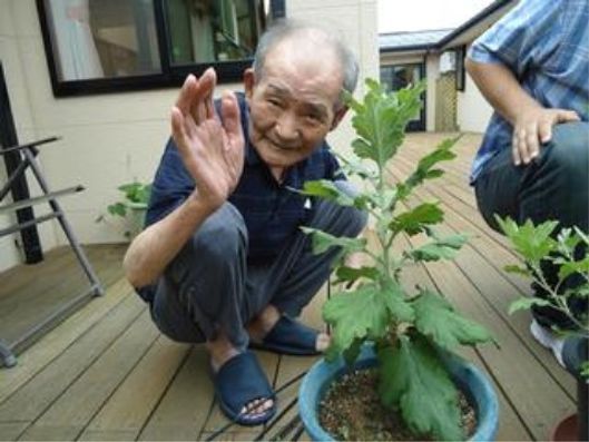 日常