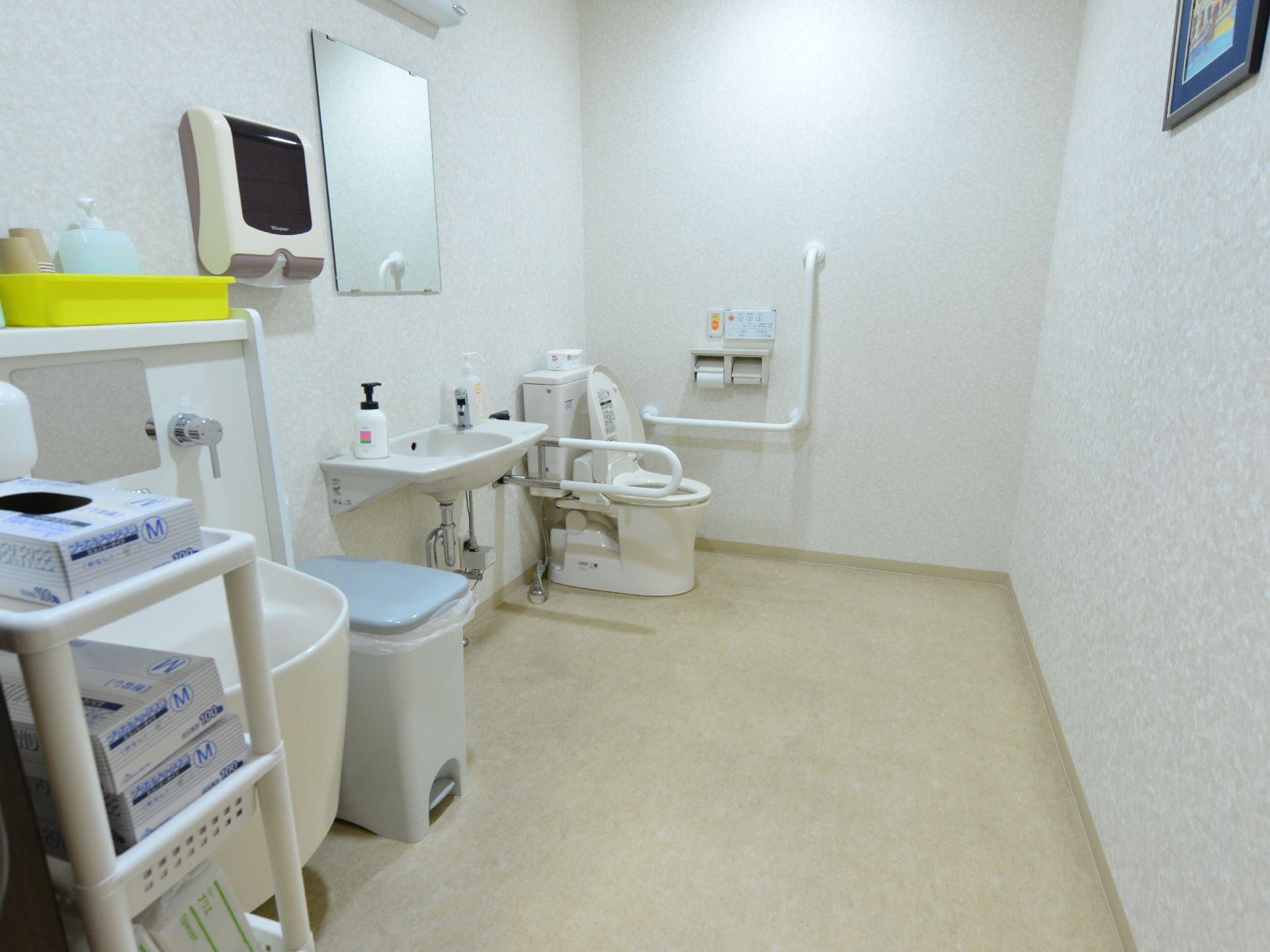 介助者の存在を前提としたトイレ。画面手前には汚物などを洗う水回りと消毒用のセットなどが設置されている。