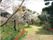 「ヴェルデ北条」の中庭。春先には、桜が咲き乱れるほど、花々が美しい。
