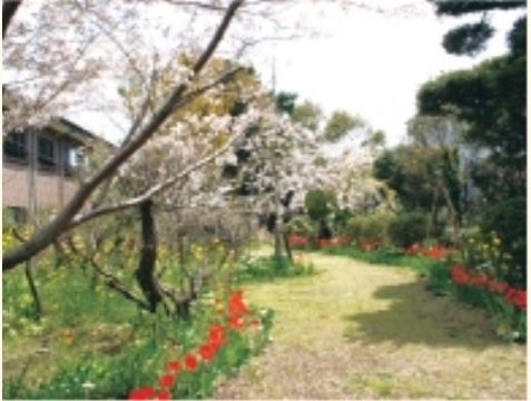 春には桜やチューリップの咲く、色鮮やかな施設のガーデン