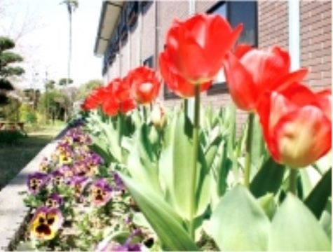 「ヴェルデ北条」の中庭の花壇。チューリップ、コスモス、パンジーといった花々が多く植えられている。