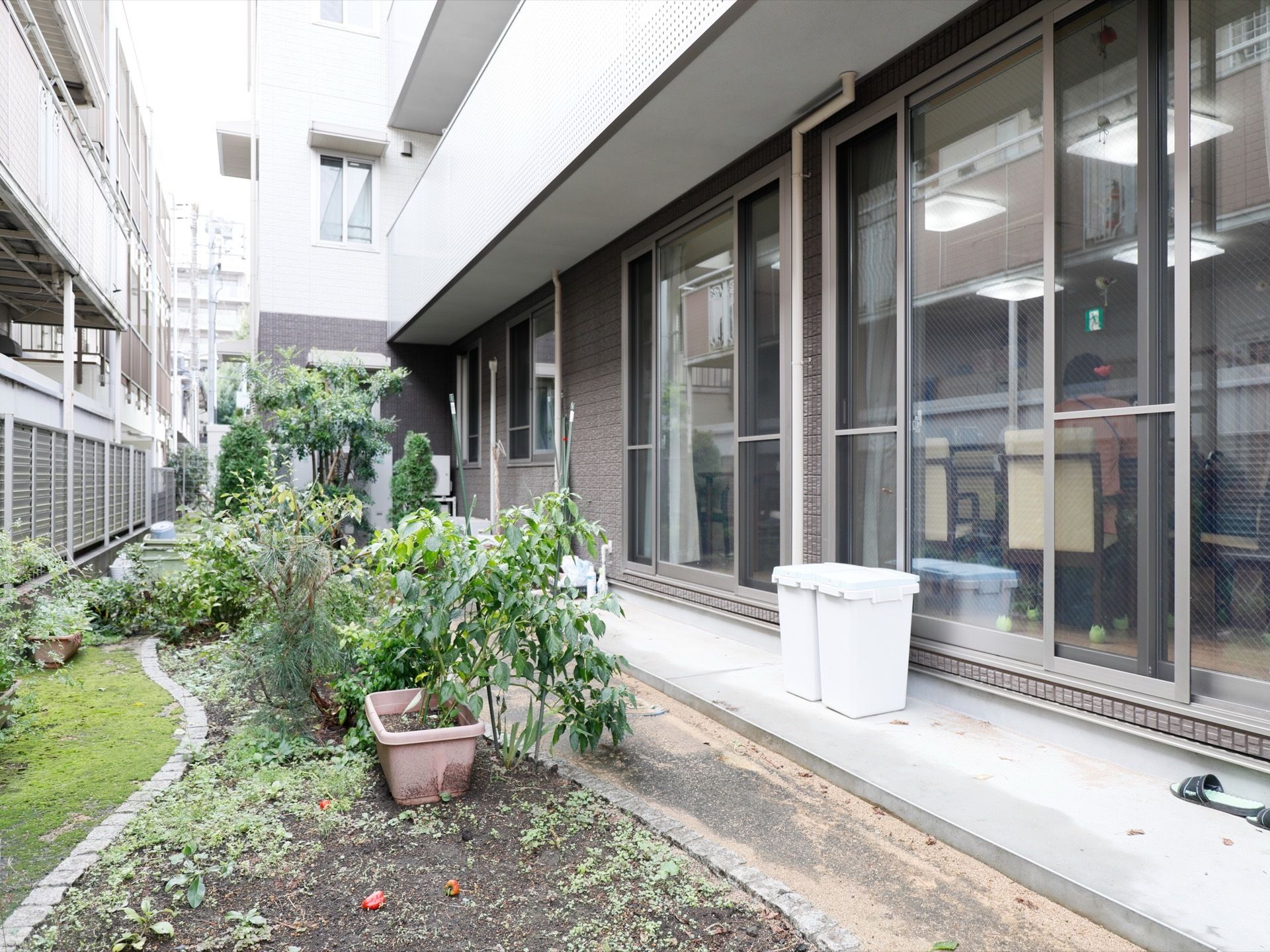 共有ルームの外には、庭がある。ちょっとした花壇があり、植物を育てており、緑のある生活をおくることができる。