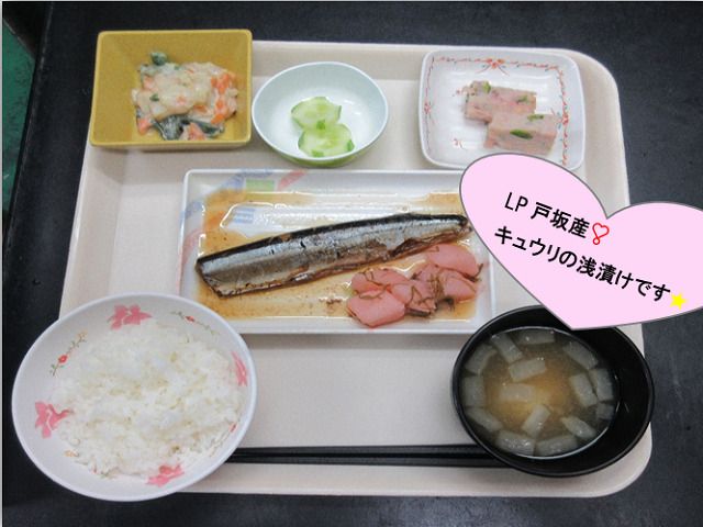 サラダときゅうりの浅漬けと魚の煮物、ご飯と味噌汁のセット