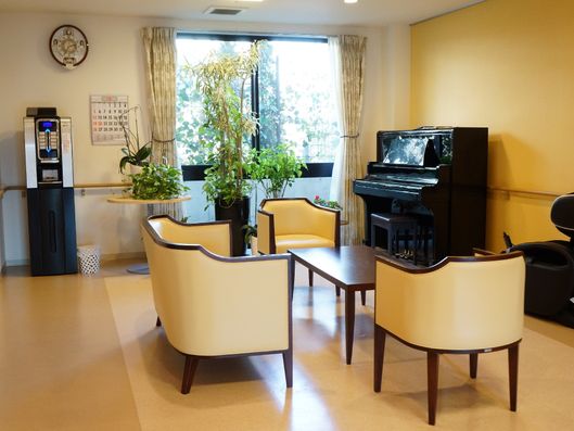 観葉植物やピアノ