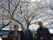 青空のもと、満開の桜の木の下に並んで撮影された３人の入居者