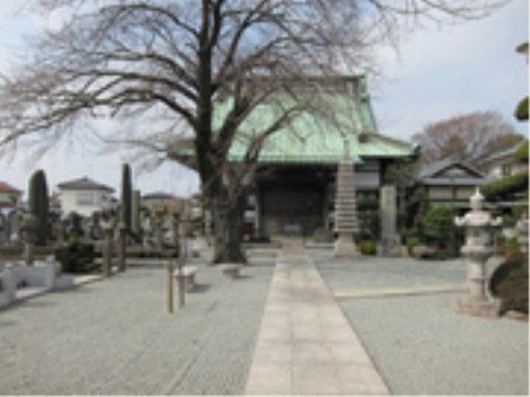 薄い緑色の屋根の建物の前に大きな落葉樹が植えられている。砂利で整備された敷地に灯篭が立てられている。