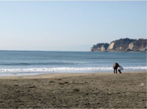「アプルール材木座」の周辺環境。海沿いを気持ち良く、歩くことができゆったりと寛げる。