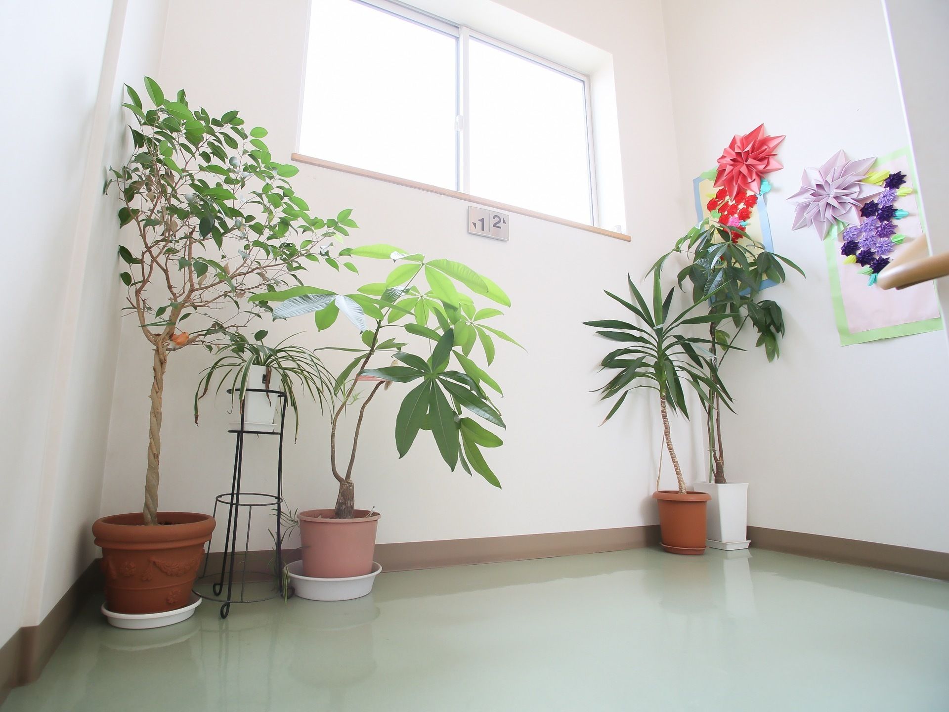 館内廊下の突き当たりなどにたくさんの花を飾っている。観葉植物の鉢植えが５つ置かれている。壁には折り紙が貼られている。