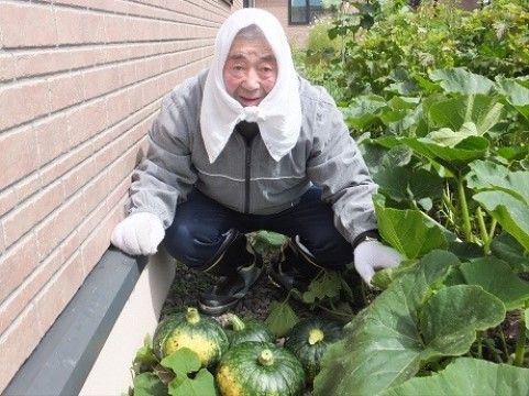 「愛の家グループホーム なかしべつ」の野菜畑。野菜作りを楽しめる環境がある。