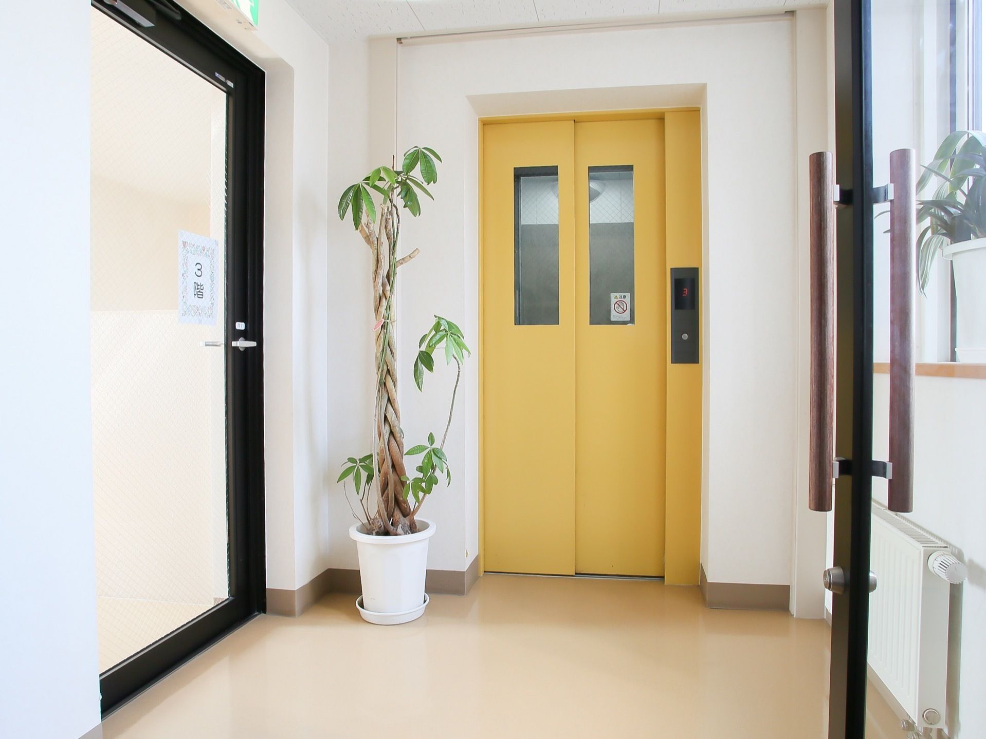 正面に黄色い扉のエレベーターがある。扉の横に大きな観葉植物の鉢植えが置かれている。左手に非常扉がある。