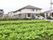 施設のそばにある大きな畑から眺めた写真である。奥に建物が見えており、その前に自動車が３台停められている。