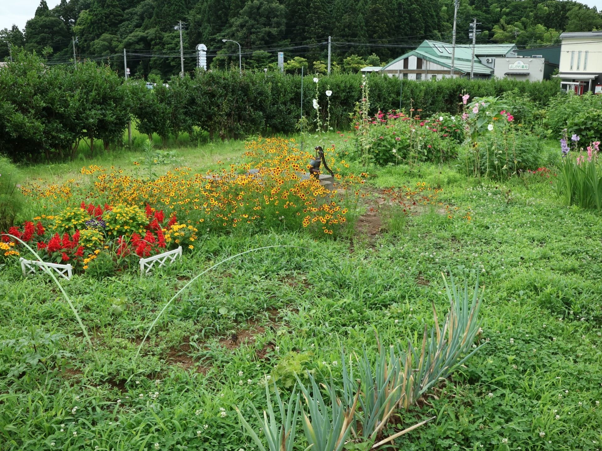 緑が生い茂った菜園がある。敷地は広く、開放的。色とりどりの花が植えられ、さわやかな雰囲気である。近くに山も見える。
