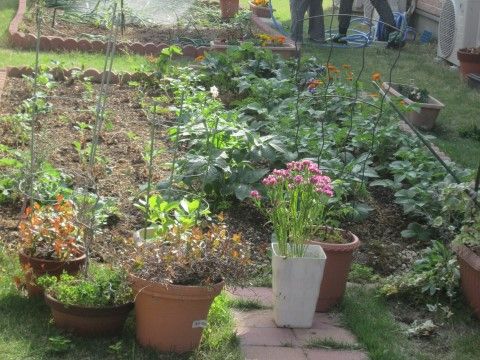 中庭が綺麗に手入れされている。花壇には花が植えられており、入居者様も植物に触れることで心を癒すことができる。
