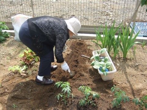 「愛の家グループホーム 越谷相模」の園芸。園芸療法を実施している。