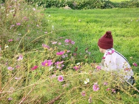 「愛の家グループホーム 岩槻城北」の日常。きめ細やかなサポート。