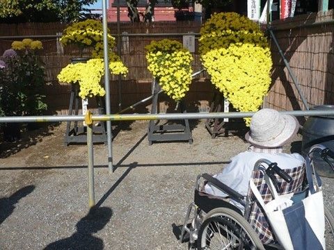 「愛の家グループホーム 岩槻城北」のイベント。季節の花を見物。