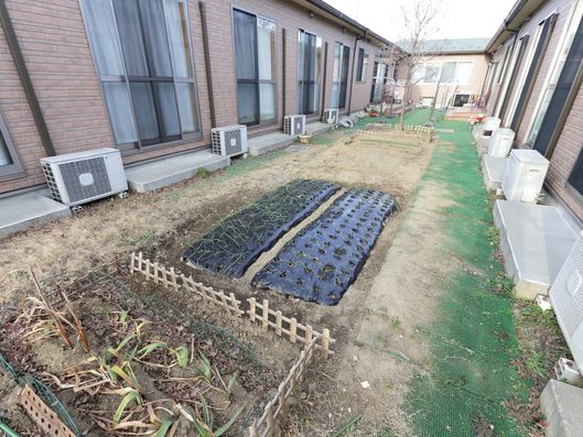 農作物が楽しめるスペース