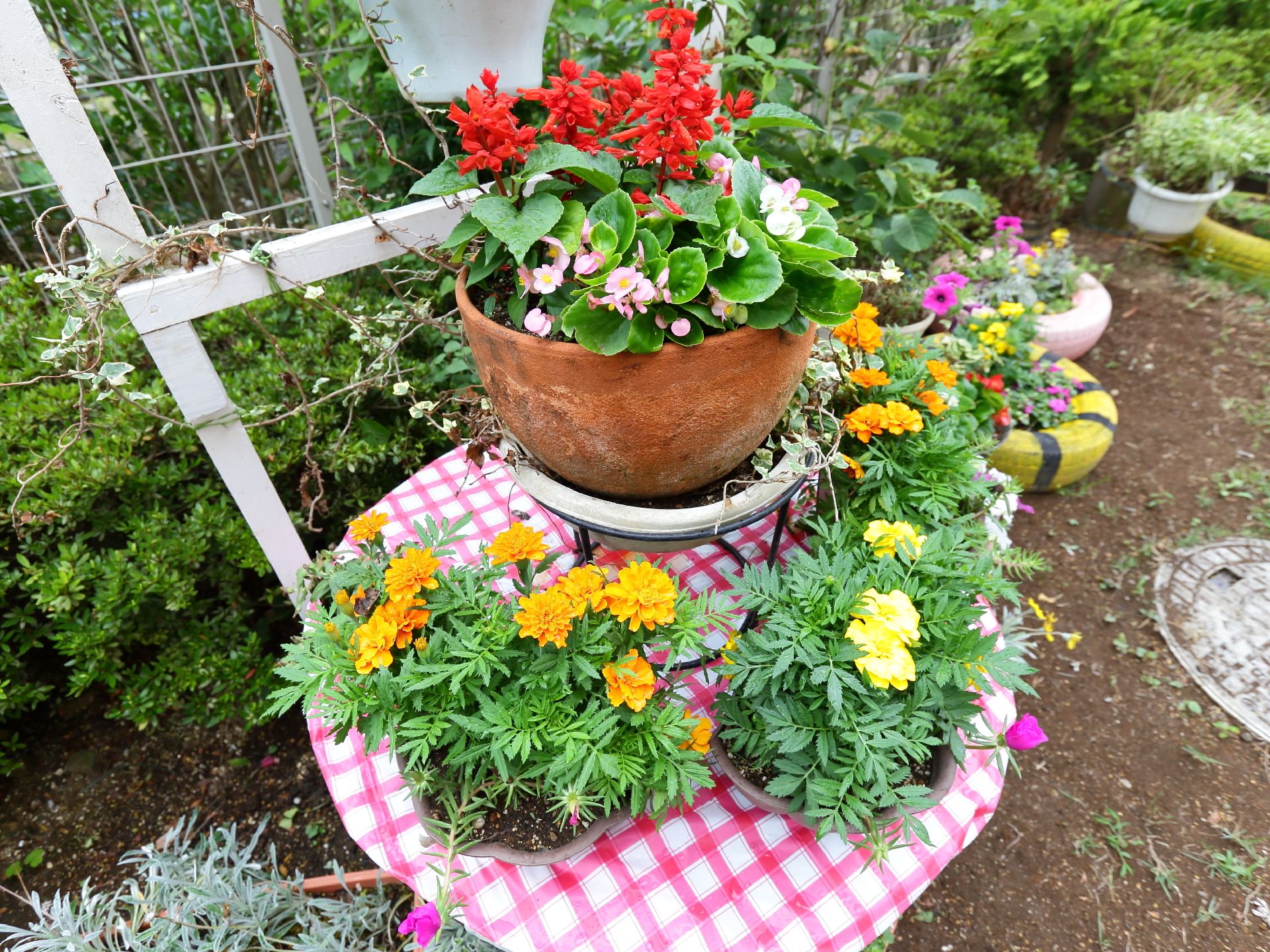 鉢やタイヤなどに植えられた様々な種類の花。好きな花や植物に触れることは、日常生活の中の大切なリハビリの一つである。