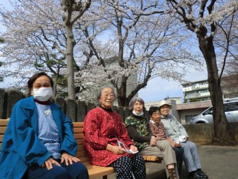 桜の木の下に置かれたベンチに並んで腰を掛けるシニア女性