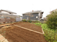 庭園がある施設の屋外風景