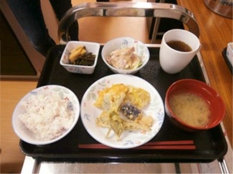 白いご飯やみそ汁の他に主菜や副菜が載っているお食事のプレート