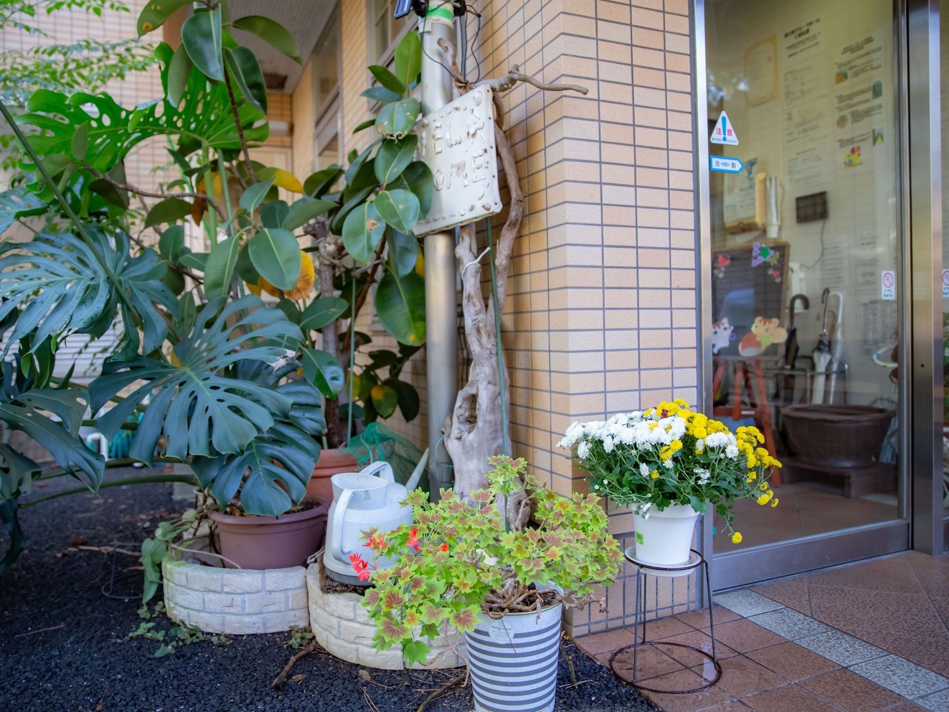自動ドアの玄関がある。舗装された道から段差なく移動できる設計になっている。ドアの前には観葉植物が飾られている。