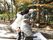 天気の良い日に公園を散歩している様子。車椅子に座った男性入居者様の後ろで女性スタッフが何か指をさしている。