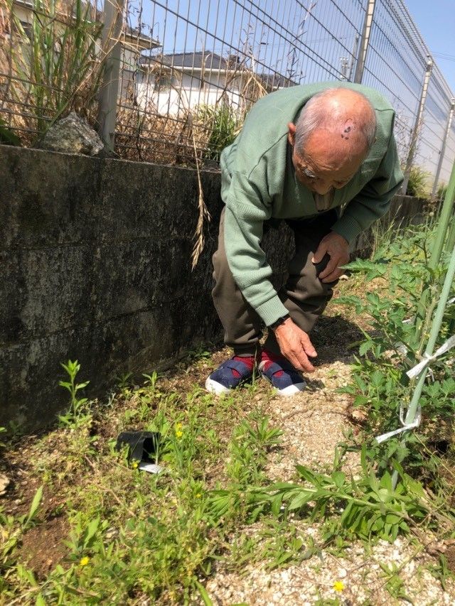施設の畑で、季節の野菜の収穫作業をしている男性入居者様