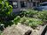 ホームの敷地内にある畑。緑の植物が何列も植えられている。畑の周囲には駐車場があり、車が停まっているのも見える。